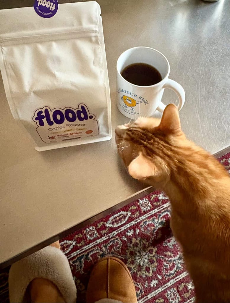 E4FF56B4-0B92-48AC-9015-581FBD0115DD